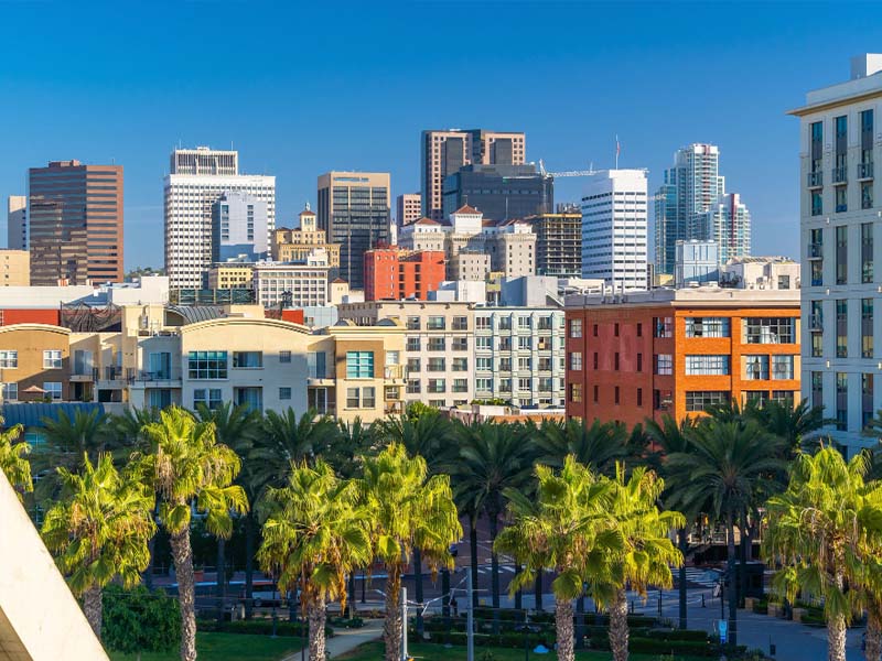 Professional Moving Services in San Diego