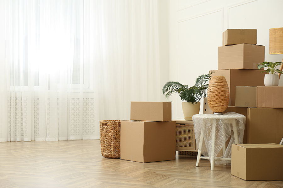 Services Offered by Aaron's Back Company
