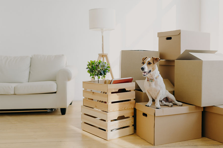 Services Offered by Action Moving & Storage