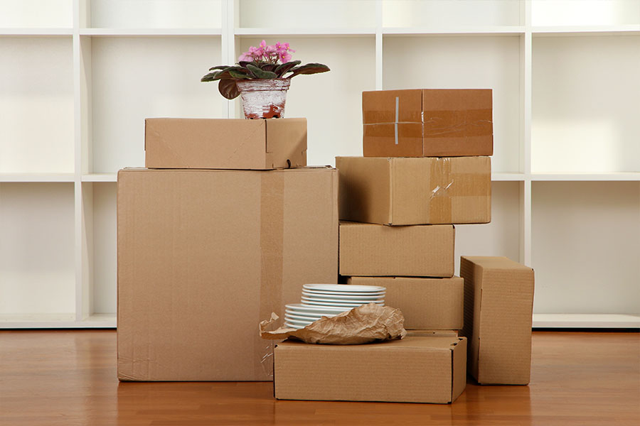Services Offered by Motivated Movers