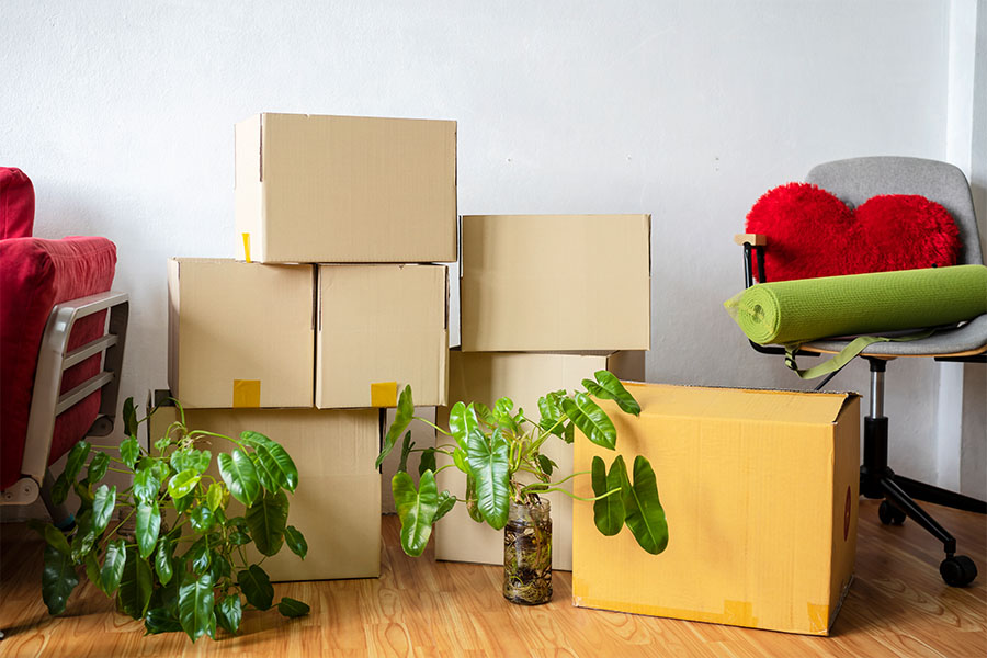 Services Offered by Trek Movers