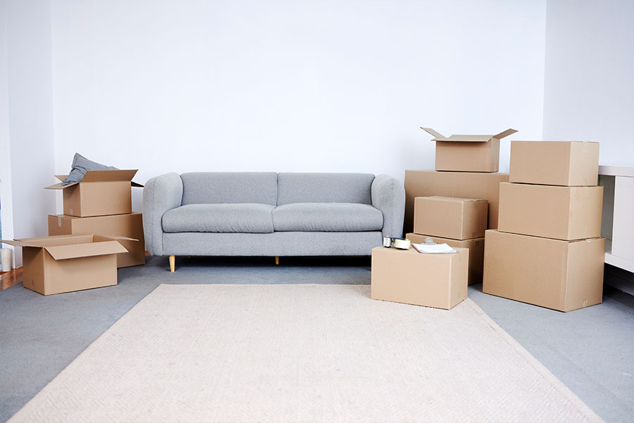 Is 495 Movers the Right Mover for You?