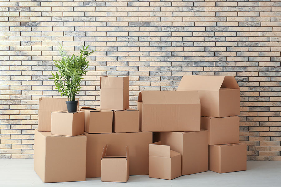 Moving Services Offered by Wildcat Moving