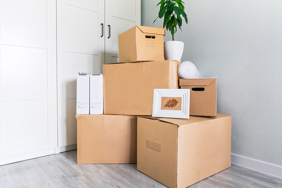 Services Offered by Eco Movers