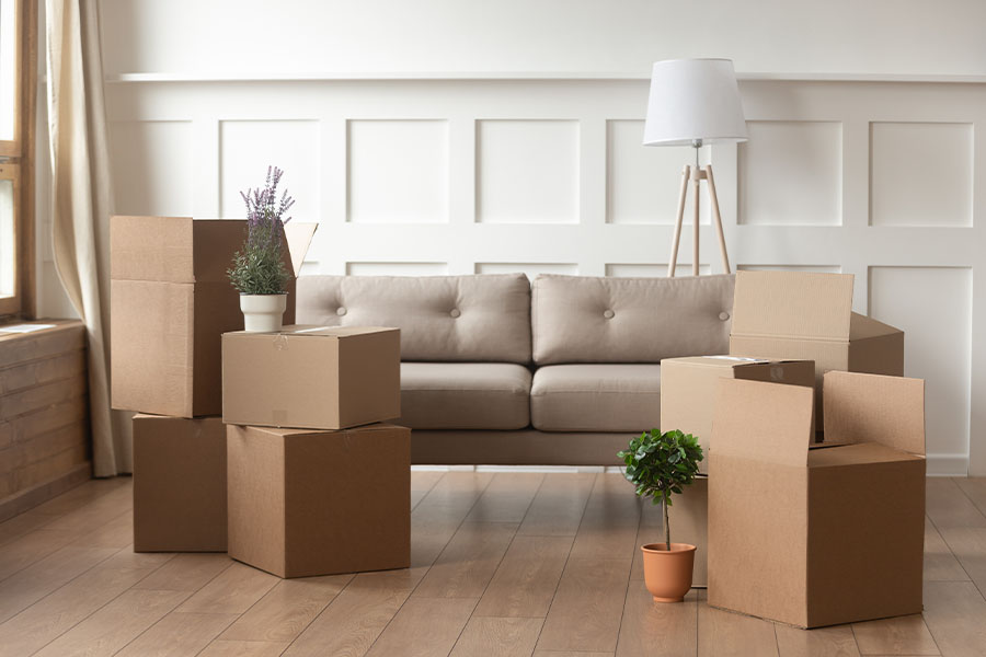 Services Offered by Swamp Rabbit Moving