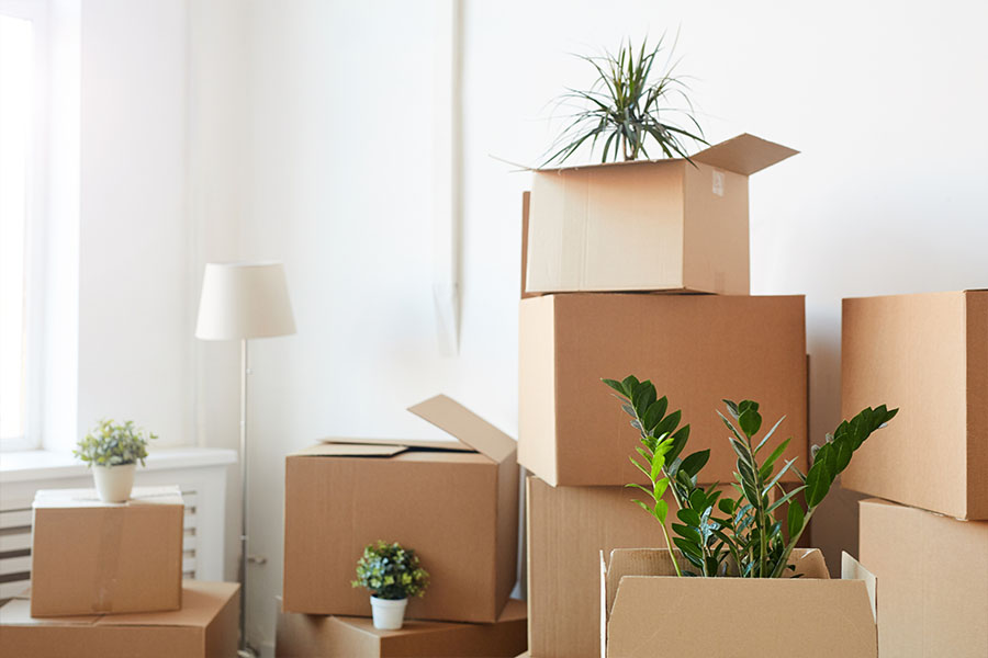 Is Affordable Moving LLC a Good Moving Company