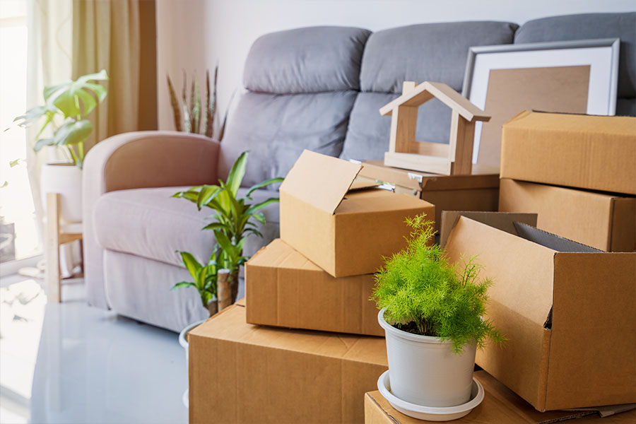 Is Broad Street Movers a Good Moving Company