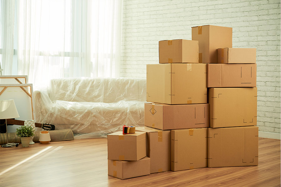 Is Green Day Moving a Good Moving Company?