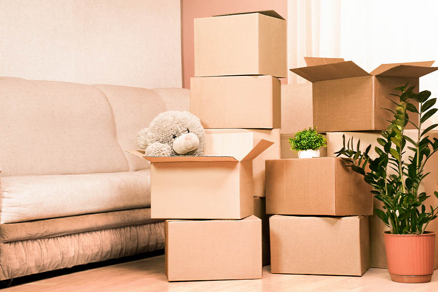 Services Offered by Affordable Moving LLC