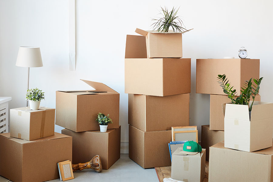 Services Offered by All American Moving