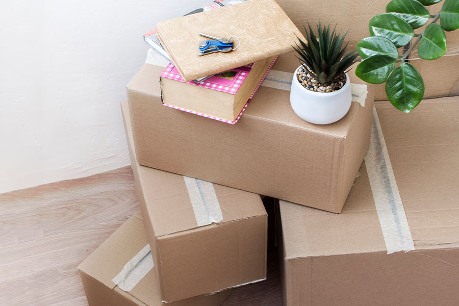 Services Offered by Ben the Mover Guy