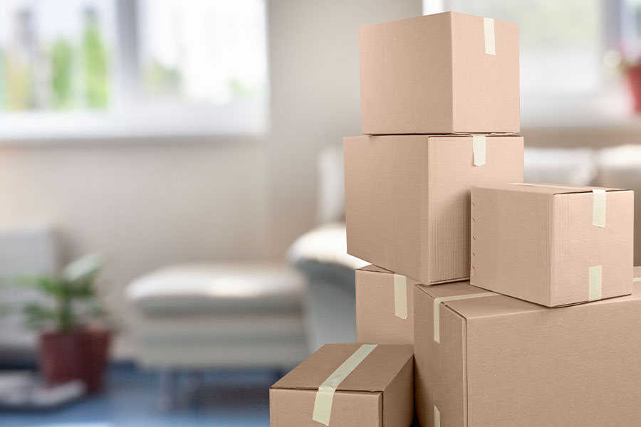 Services Offered by Green Day Moving