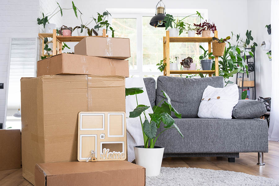 Services Offered by Harvest Academy Movers